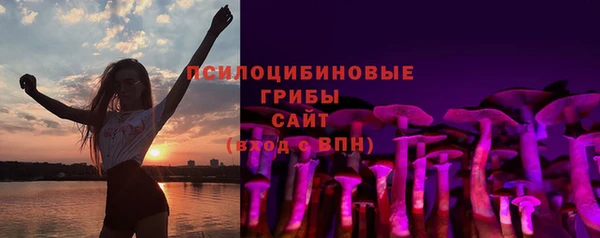 таблы Богородск